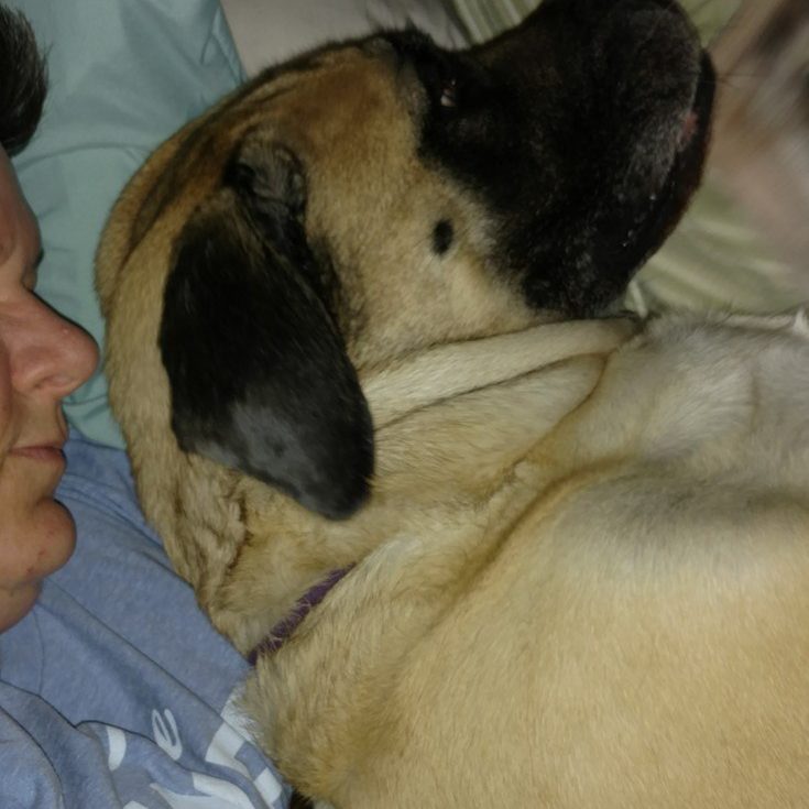 Me Napping With Ms. Bella - Owner, K. Mihailoff